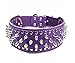 BTDCFY Hoot PU Leather Adjustable Spiked Studded Dog Collar 2″ Wide 43 Spikes (L(Neck 21″-24″), Purple)thumb 2