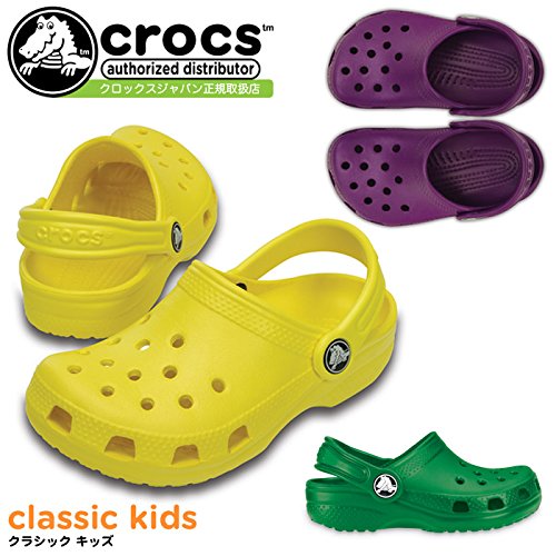 crocs distributor