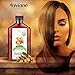 Avíanō Botanicals Argan Oil - 100% Pure & USDA Certified ORGANIC Moroccan Virgin Argan Oil - Large 100ml Bottle