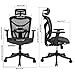 ANCHEER Ergonomic Office Chair, High Back Mesh Office Chair with Adjustable Lumbar Support,Armrest and Headrest ( BIMFA Certified )