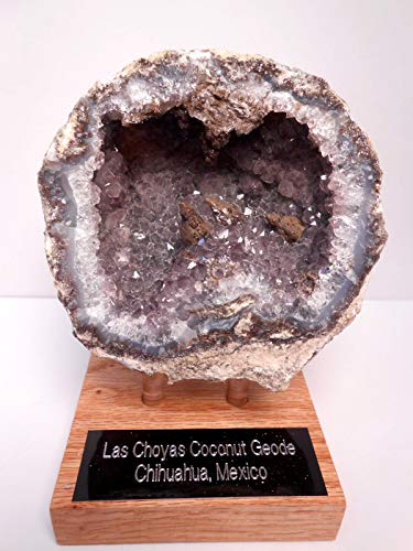 Genuine Huge Softball Sized Crystal Filled Los Choyas Geode Half on Free Custom Oak Stand