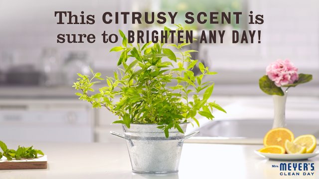 Mrs. Meyer's Liquid Dish Soap, Biodegradable Formula, Lemon Verbena, 16 fl. oz - Pack of 3 - Image 8