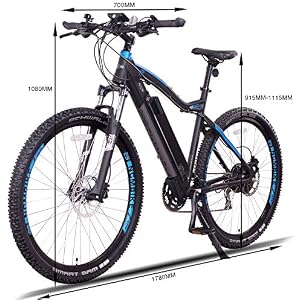 Moscow Plus Electric Mountain Bike 768 Wh 48V/16AH