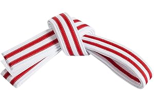 MASTERY MARTIAL ARTS Mastery Little Dragons