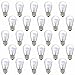 Deneve DNV-200-10110 Clear Glass S14 Incandescent Light Bulbs for E26, E27 Sockets, 11 Watts, 25 Pack
