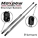 Maxpow Qty (2) Rear Liftgate Hatch Tailgate Lift Supports Struts Shocks Compatible With Suzuki XL-7 XL7 2007 2008 2009 6174