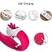 Personal Massager - Waterproof USB Rechargeable Vibrating Power Wand Massager - LONOVE Silicone 12 Speed G Spot Vagina and Clitoris Vibrating Vibrator Sex Toy for Women or Couples (Pink)