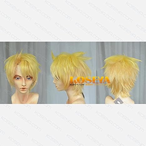 Amazon ばらかもん 木戸 浩志 きど ひろし ゼミロング コスプレウィッグ コスプレ 仮装 通販