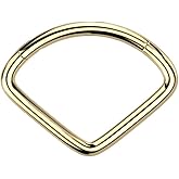 Pierced Owl 16GA F136 Implant Grade Titanium Wide Chevron Shaped Hinged Segment Ring