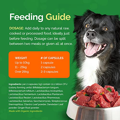 Dr. Dobias GutSense, Advanced Prebiotic & Probiotics for Dogs, Canine