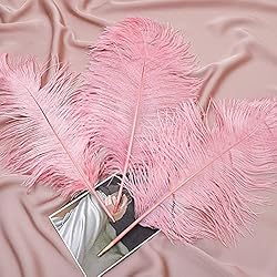 24pcs Natural Lotus Pink Ostrich Feathers 10-12inch