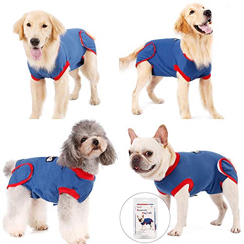 FOREYY Dog Professional Recovery Suit Abdominal Wound Protector Puppy Medical Surgical Clothes Post-Operative Vest Pet After Surgery Wear E-Collar & Cone Alternative (L)