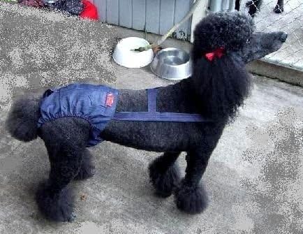 34 inches to cm pants