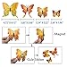 Double Wings 96 x Pcs 3D Butterfly Wall Stickers Colorful DIY Removable Art Decor Crafts for Nursery Classroom Offices Kids Girl Boy Baby Bedroom Bathroom Living Room Magnets and Sponge Glue 8 Color