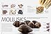 Gusto: The Very Best of Italian Food and Cuisine