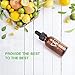 Vitamin C Serum Face Serum With 30% VC & Hyaluronic Acid & Vitamin E - Anti Wrinkles, Age Spots, Firming and Skin Tone, 1 fl oz
