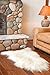 Overland Single-Pelt Icelandic Sheepskin Rug, WHITE, Size 1 SIZE