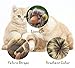 lcfun Lion Mane Costume for Cat Puppy - Pet Wig with Ears, Cat Clothes for Halloween Party