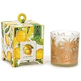 Michel Design Works Gift Boxed Soy Wax Candle, 6.5-Ounce, Lemon Basil