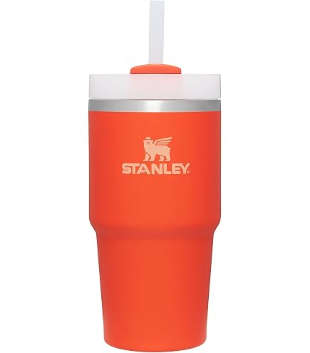 Amazon.com | STANLEY 2pk 20oz Stainless Steel H2.0 Flowstate Quencher  Tumblers San Valentine gift: Tumblers & Water Glasses