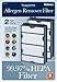 Holmes True HEPA Filter HAPF600D-U2, Filter B, 2 Pack