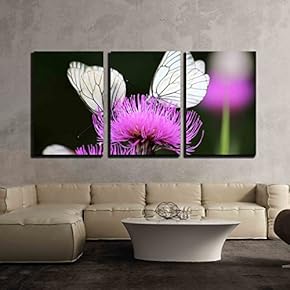 Butterflies a Summer Flower x3 Panels