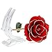 POLEND Love Forever Long Stem Dipped 24k Gold Foil Trim Rose,with The Clear Crystal Stand,Best Gift for Valentine's Day Gifts,Mother's Day, Anniversary, Birthday Gift,Christmas(Red)
