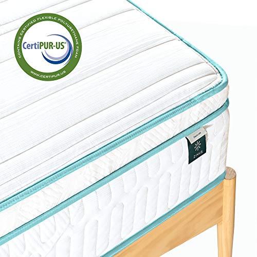 ZINUS 12 Inch Memory Foam Spring Hybrid Mattress / Euro Top Innerspring Mattress / Green Tea
