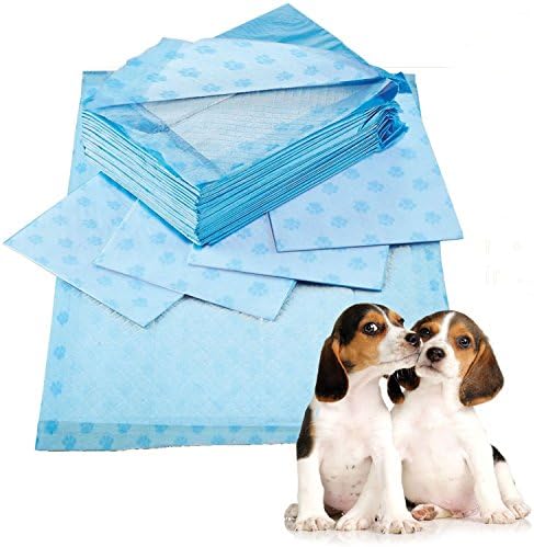 Prime Paws Puppy Trainer Training Pads for Dog Pet Pee Extra Absorbent Toilet Pee Wee Mat Anti Slip Thick and Leakproof (60x90cm, 75 Pack)