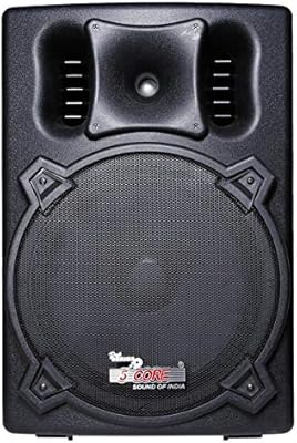 15 inch speaker column