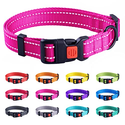 CollarDirect Reflective Dog Collar, Safety Nylon Collars for Dogs with