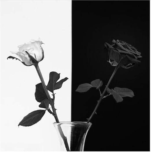 Get Asjff 3d Strass Malerei Kristallwohnkultur Diy Diamant Malerei Desktop Wallpaper Wallpaper Asjff 3d Strass Malerei Kristallwohnkultur Diy Diamant Malerei Desktop Wallpaper