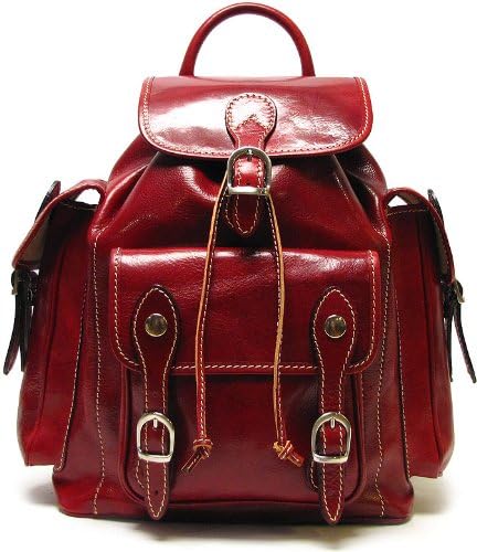 Roma Backpack Color: Tuscan Red