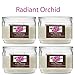 Hosley Set of 4 Radiant Orchid (Harmony) 2 Wick Candle, 10 oz: Floral, Lemon Grass notes. Ideal Aromatherapy Votive GIFT for Party Favor, Weddings, Spa, Reiki, Meditation, Bathroom settings W9