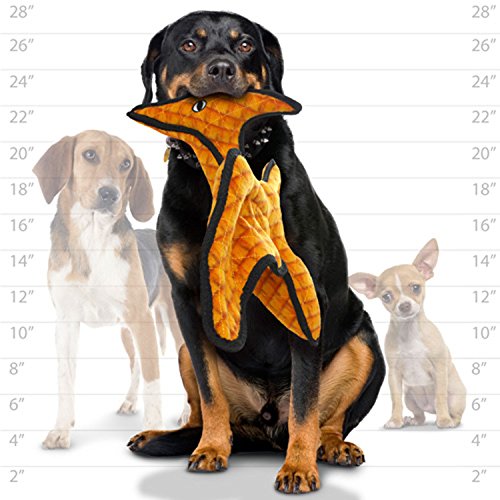 Tuffy Dinosaur Pteradactyl