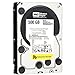 WD RE4 500 GB Enterprise Hard Drive, 3.5 Inch, 7200 RPM, SATA II, 64 MB Cache (WD5003ABYX) (Old Model)