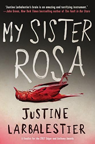 My Sister Rosa Paperback โ December 26, 2017