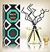 HOUZZ Interior Sandalwood & Blue Sage Essential Oil Reed Diffuser Set | Sandalwood, Crisp Bergamot, Lavender & Fresh Garden Sage | Great Living Room Scent