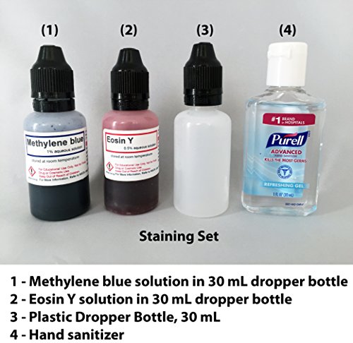 Microscope Slide Accessory Kit - Standard Set