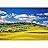 Tuscany Spring, Pienza Italian Medieval Village. Siena, Italy. - Removable Wall Mural | Self-Adhesive Large Wallpaper - 100x144 inches