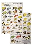 National Geographic - Guide to Reef fish of the Western Pacific & Indonesia - Fish ID Card (6 in by 9 in)
