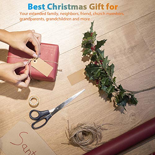 CJWPOWER 2020 Personalized Christmas Ornament, Quarantine Themes, Best Gift for Family, Neighbors, Friends, Church Members, Grandparents and More (Lights, Family of 4)