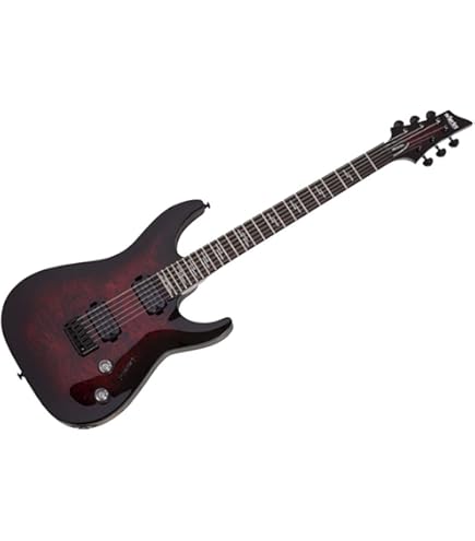 Amazon.com: Schecter Omen Extreme-6 FR Electric Guitar - Black
