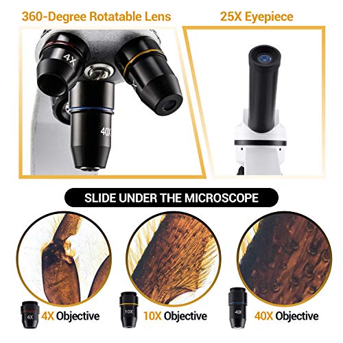 1 BNISE+100X+1000X+Microscopes+Illumination+Accessories