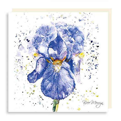 Beautiful Bree Merryn Blue Iris Design Mini Card, BRE0131