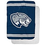 Augusta University Jaguars Primary Logo Stripes