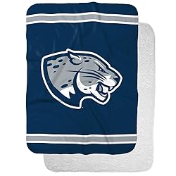 Augusta University Jaguars Primary Logo Stripes