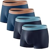 Arjen Kroos Men's 4 Pack Ultra Soft Modal Trunks Underwear Breathable Seamless Underpants