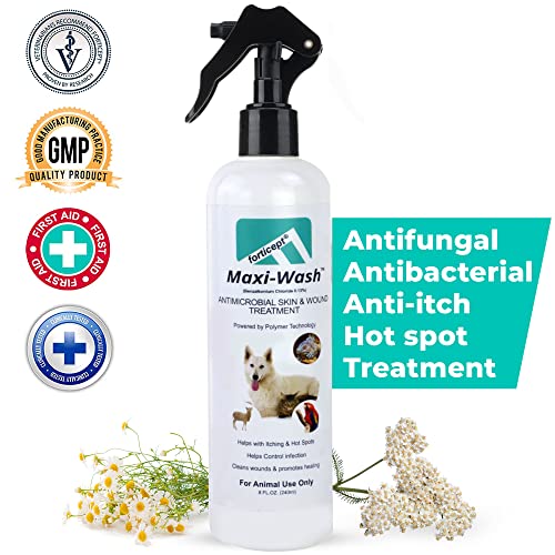 Forticept MaxiWash Hot Spot Treatment, Wound Care Antiseptic & Itch