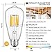 CRLight 10W LED Edison Bulb 2700K Warm White 1000LM, 100W Incandescent Equivalent E26 Medium Base, ST64 Vintage LED Filament Bulbs, 360 Degrees Beam Angle, Non-dimmable, Pack of 3